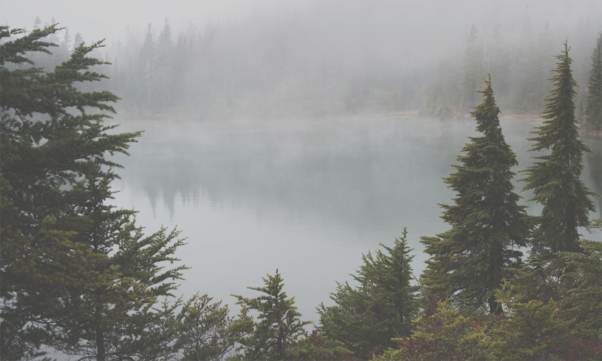 Coast Cannabis